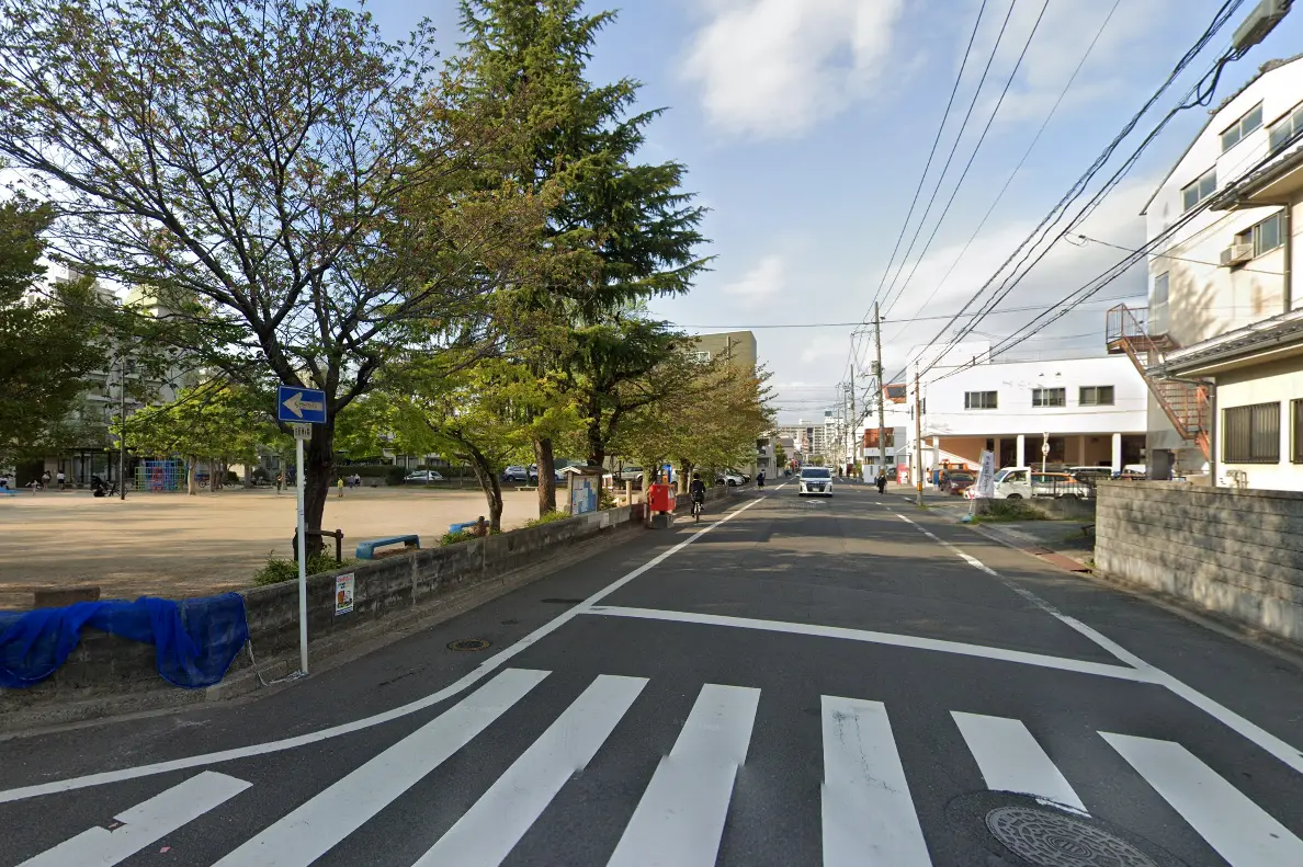 街路に面した公園と並木道の風景